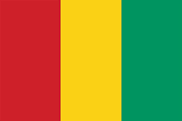 Guinea-Conakry flag - ECTN cargo tracking note